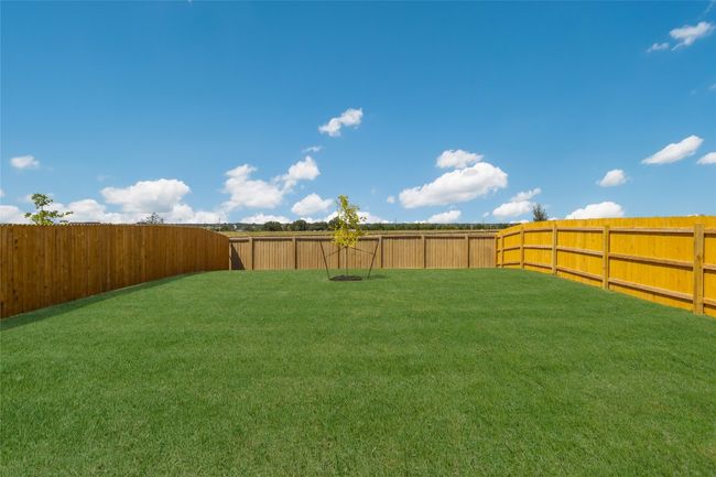 175 Safflower Dr, House other with 3 bedrooms, 3 bathrooms and null parking in Uhland TX | Image 19