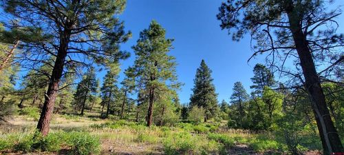 Lot 8 Beaver Creek Ranch Dr, Bayfield, CO, 81122 | Card Image