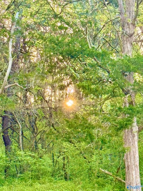 4.94 Acres Lyons Rd, Decatur, AL, 35603 | Card Image