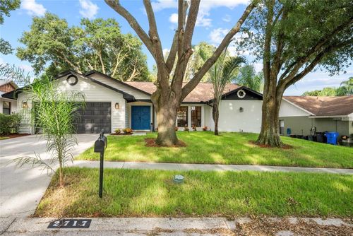 2717 Briarpatch Drive, VALRICO, FL, 33596 | Card Image