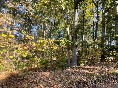 Tract C Vine Road, Westminster, SC, 29693 | Card Image