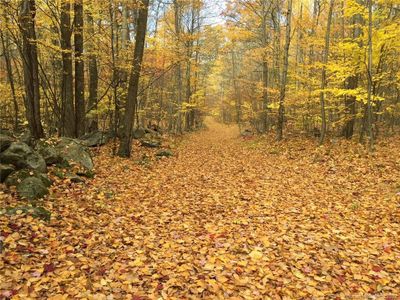 Access road in Fall. | Image 1