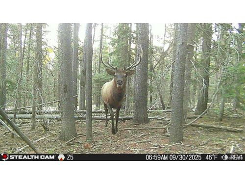 3427 Grojean Dr, Fort Garland, CO, 81133 | Card Image