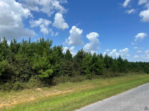 Lot 5 Whitfield Rd, Elko, GA, 31025 | Card Image