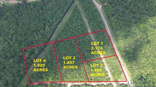 TBD Lot 4 Cactus Rd, Pittsburg, TX, 75686 | Card Image