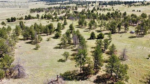 32041 Cattle Circle, Ramah, CO, 80832 | Card Image