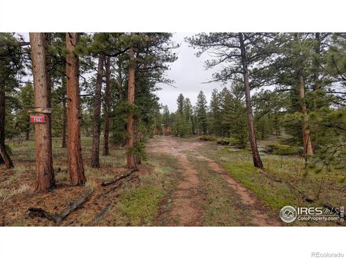 219 Yuki Dr, Red Feather Lakes, CO, 80545-8456 | Card Image