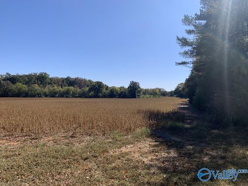 1 Acre County Line Rd, Madison, AL, 35758 | Card Image