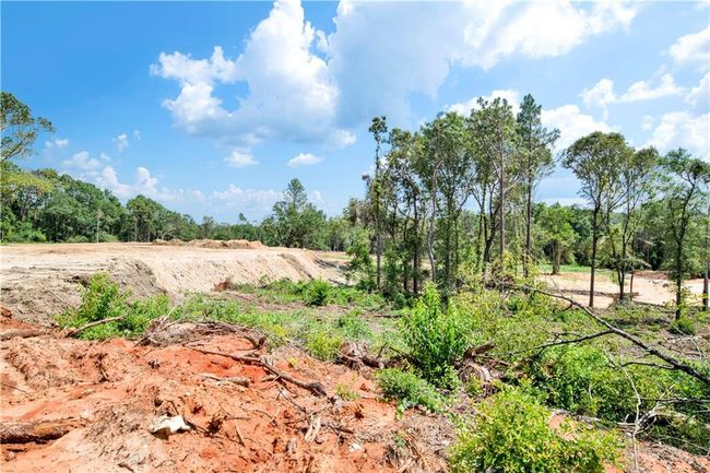 3351 Salco Rd W, Home with 0 bedrooms, 0 bathrooms and null parking in Chunchula AL | Image 14