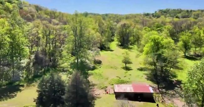 1657 Terrapin Branch Rd, House other with 3 bedrooms, 2 bathrooms and null parking in Mount Pleasant TN | Image 50
