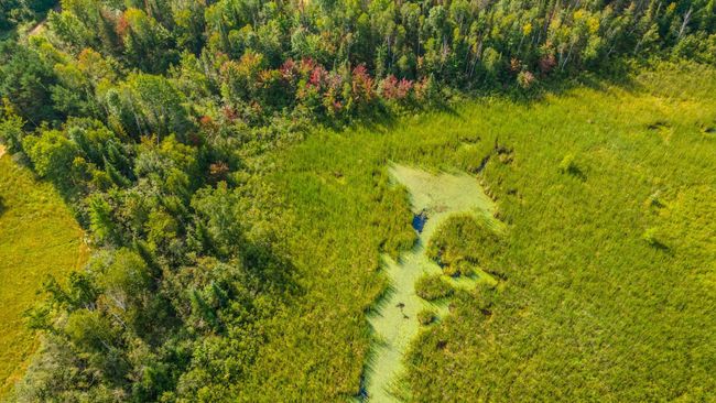 DJI_0059.jpg | Image 10