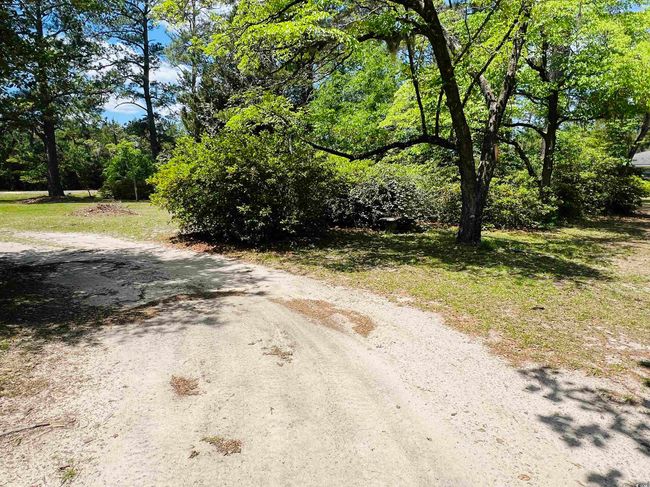 View of road | Image 24