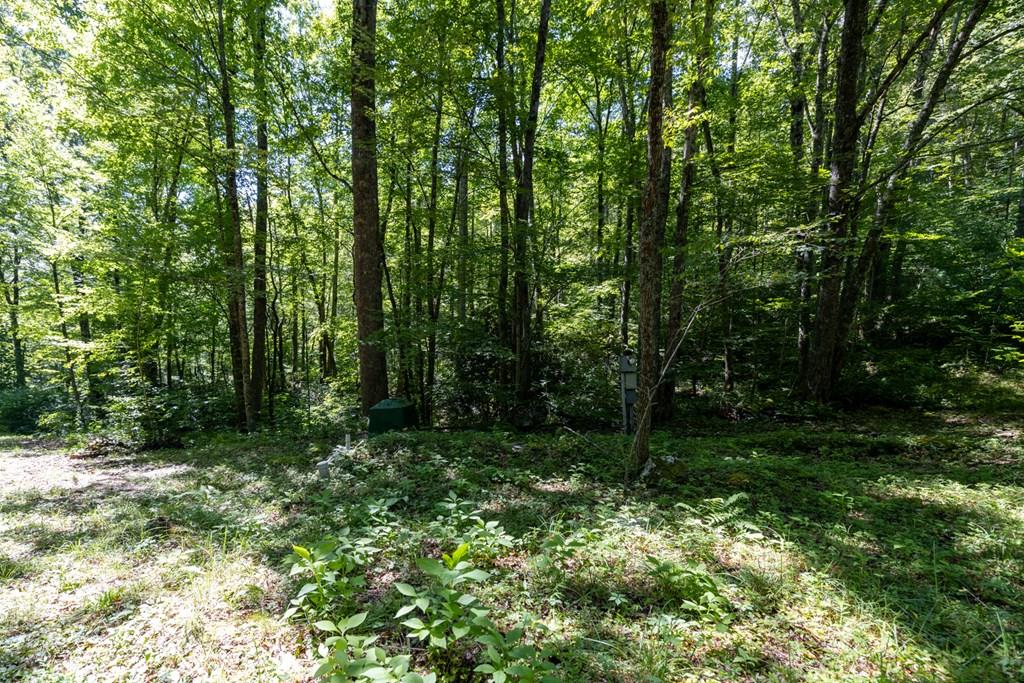 Land in Cullowhee 5