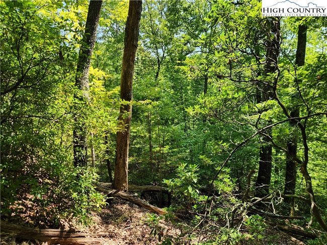 25 - 301 Bear Track Ln, Home with 0 bedrooms, 0 bathrooms and null parking in Lenoir NC | Image 22