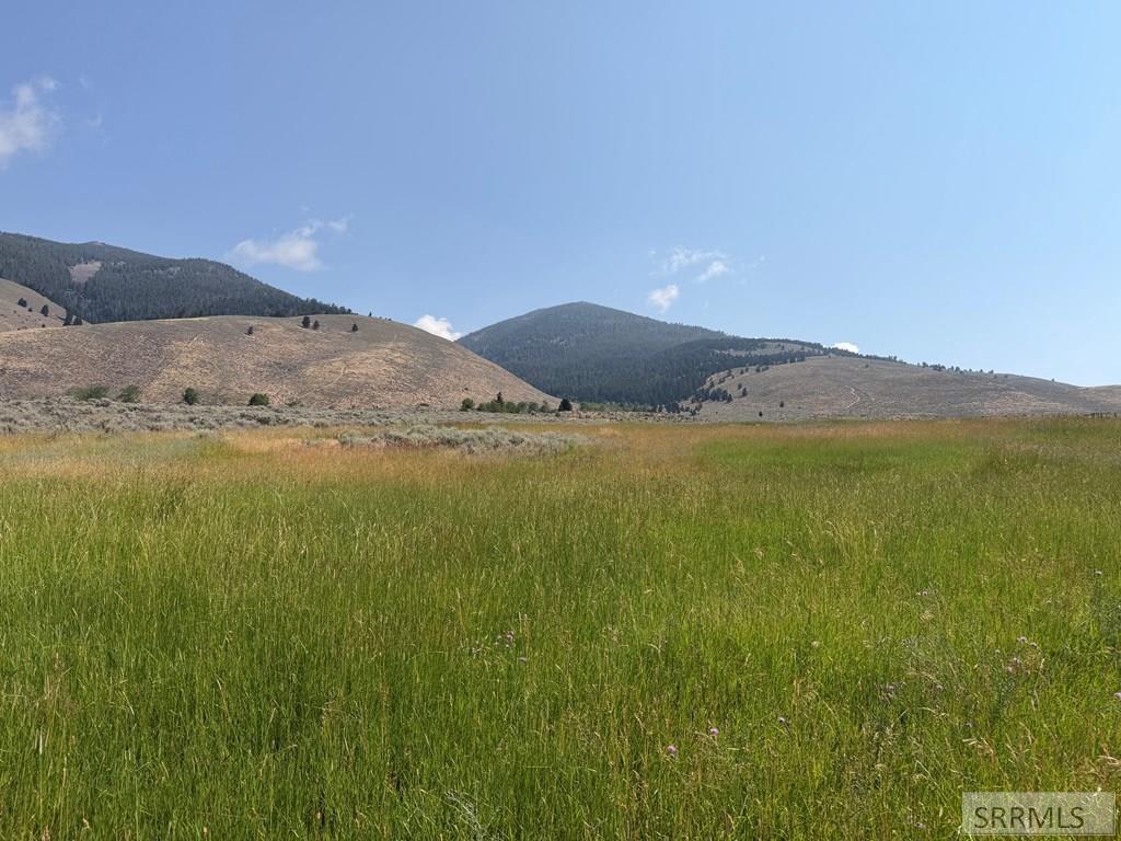 Farm in Salmon 3