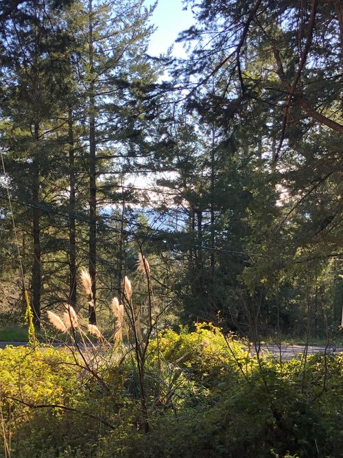 8 Buckhorn Ct, Whitethorn, CA, 95589-9130 | Card Image