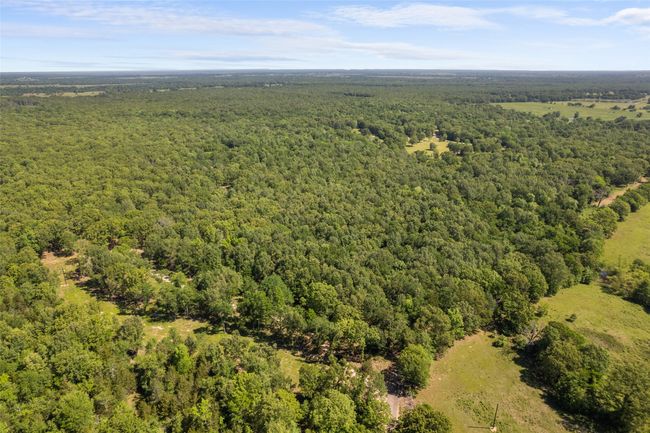 Aerial view featuring a view of trees | Image 19
