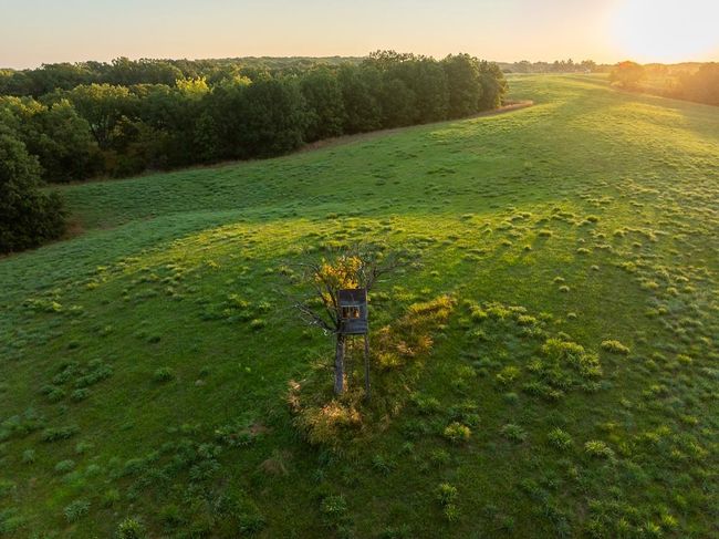 Yard at dusk featuring a rural view | Image 33