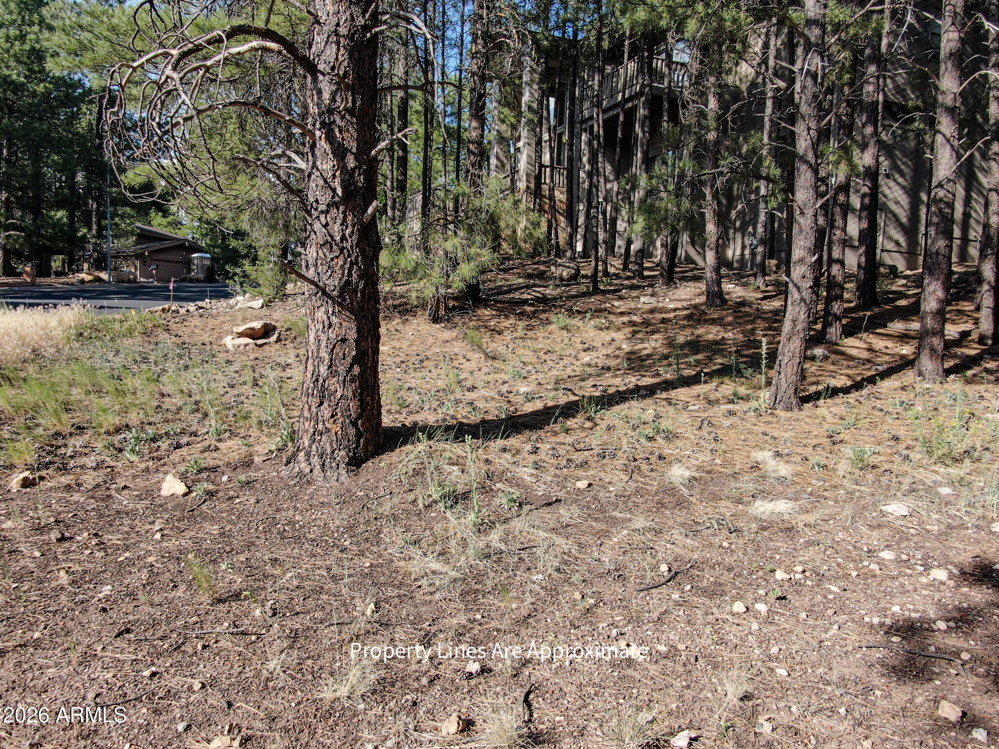 Land in Flagstaff 5
