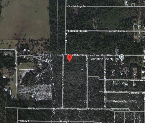 5306 Cucumber Street, Sebring, FL, 33875 | Card Image