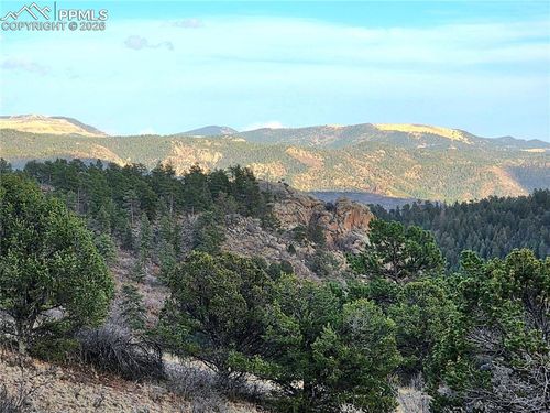204 Pine Rd, Florissant, CO, 80816 | Card Image