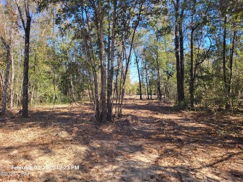 lot-1-00 Nw Tommy Tucker Rd, Altha, FL, 32421 | Card Image
