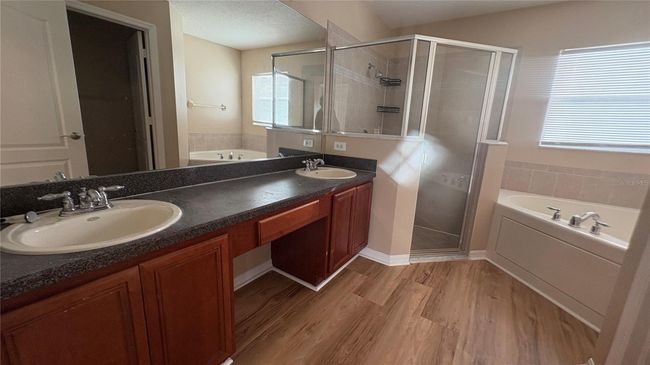 20050 Nob Oak Ave, House other with 4 bedrooms, 3 bathrooms and null parking in TAMPA FL | Image 11