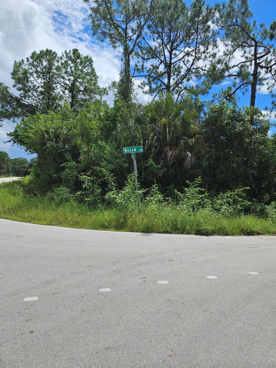 Land in Palm Bay 2