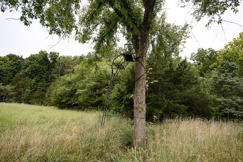 000 County Road 443, Cross Timbers, MO, 65634 | Card Image