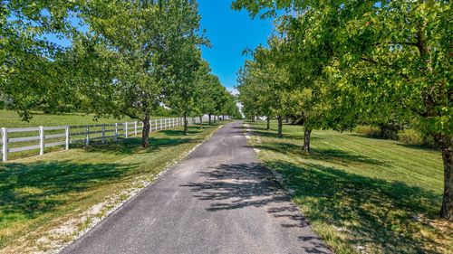 11900 W Farm Road 144, Bois D Arc, MO, 65612 | Card Image
