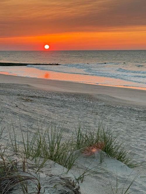 3113 Palmetto Blvd, Edisto Island, SC, 29438-3566 | Card Image