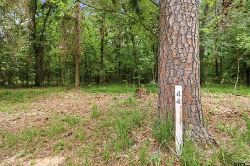 Lot 44 Sterling Shores Dr, Scroggins, TX, 75480-6004 | Card Image