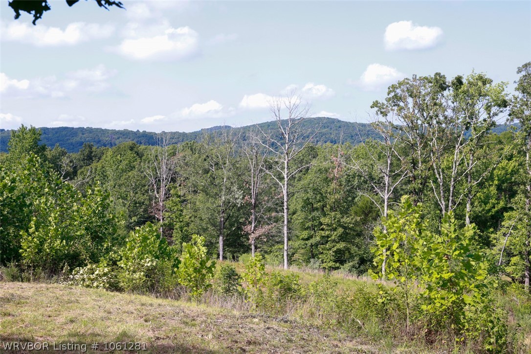 Land in Mountainburg 4
