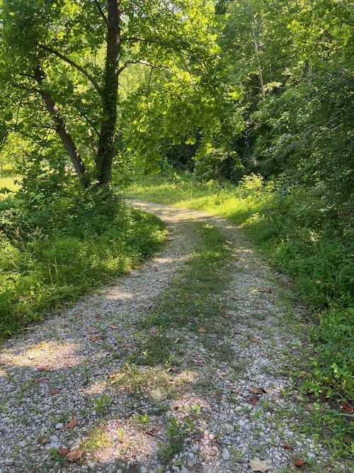 00 Royalton Rd, Salyersville, KY, 41465 | Card Image