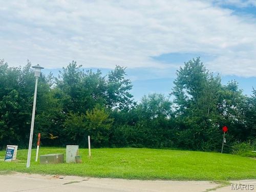 Lot 15 Columbia Ave, Waterloo, IL, 62298 | Card Image