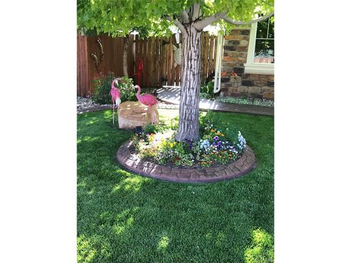 13200 Uinta St, Thornton, CO, 80602-8451 | Card Image