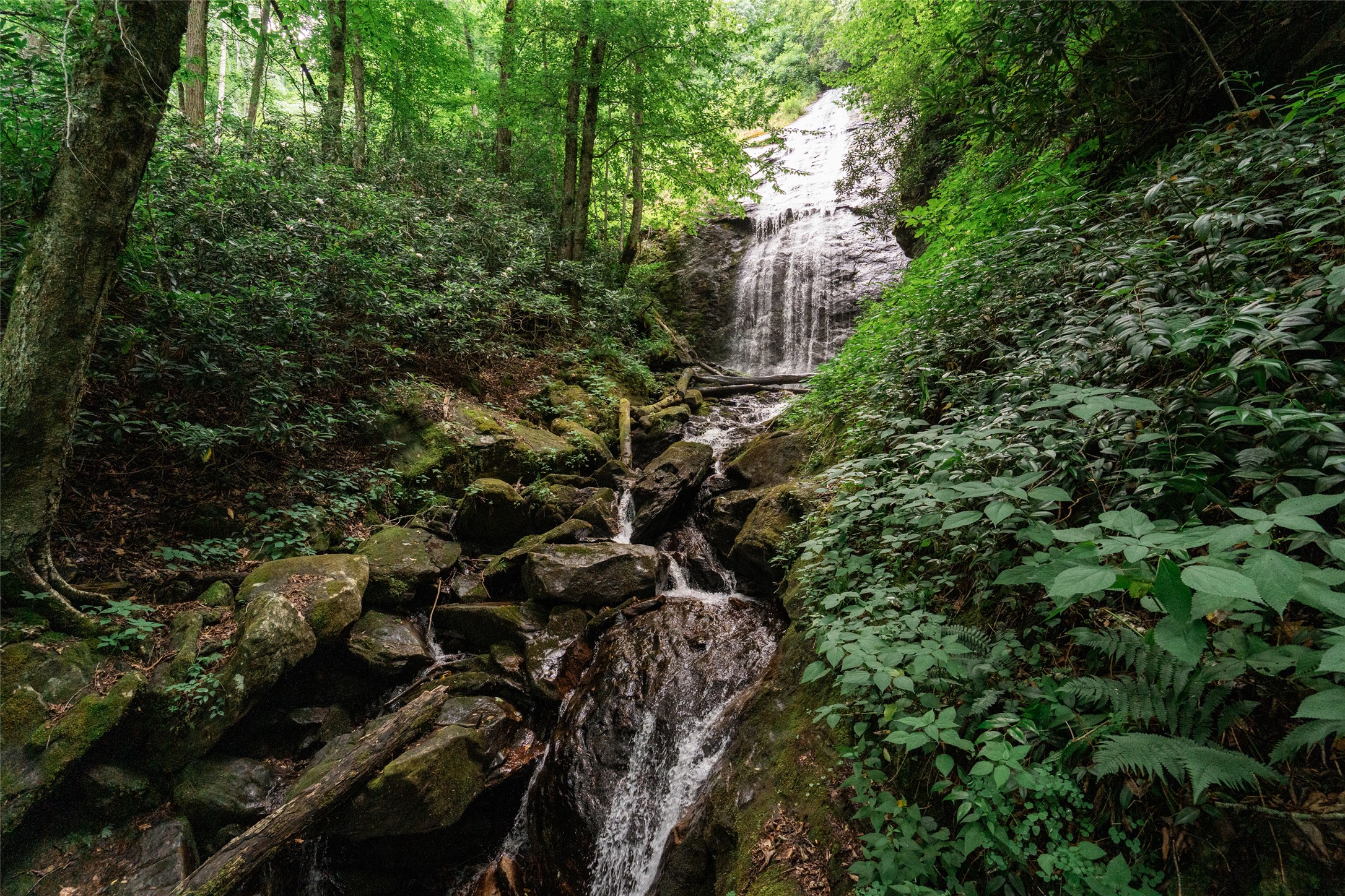 Land in Cullowhee 5