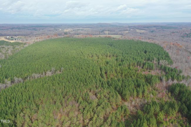 DJI_0418 | Image 15
