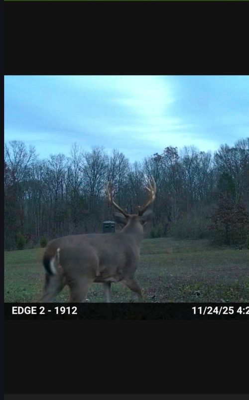 1395 Rock Springs Ln, Simpson, IL, 62985-2409 | Card Image