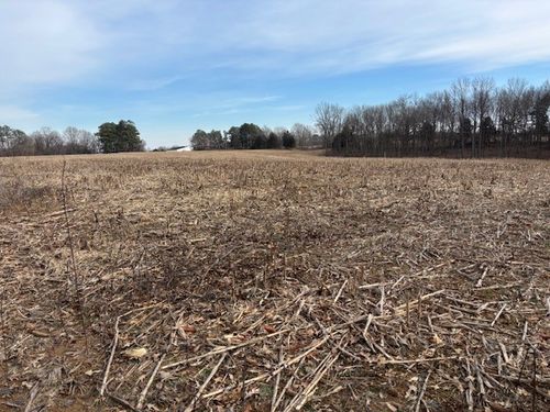 3884 State Route 131, Symsonia, KY, 42082 | Card Image