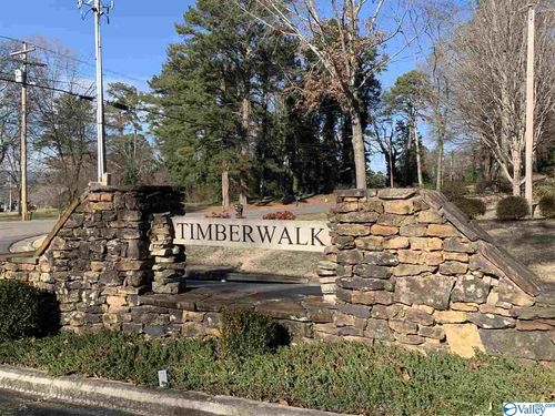 41 Amber Ln, Guntersville, AL, 35976 | Card Image