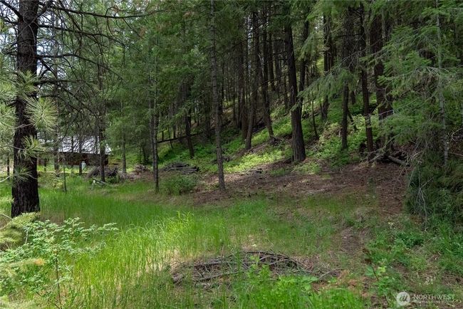 7 Howerton Rd, Home with 0 bedrooms, 0 bathrooms and null parking in Twisp WA | Image 8