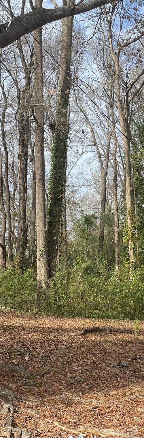 0 N Skipper St, Rockingham, NC, 28379 | Card Image