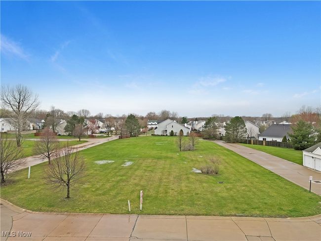 field | Image 12