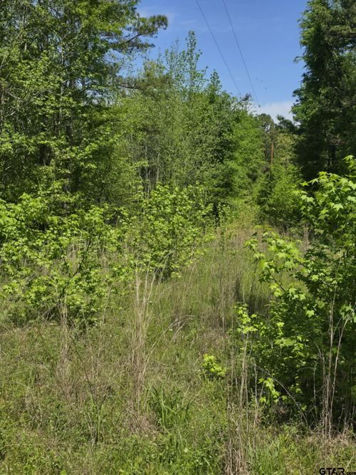 TBD County Road 421, Tyler, TX, 75704 | Card Image