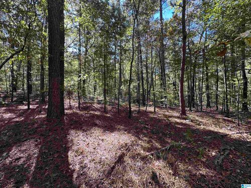 1-100 Country Manor Dr, STERRETT, AL, 35147-9200 | Card Image