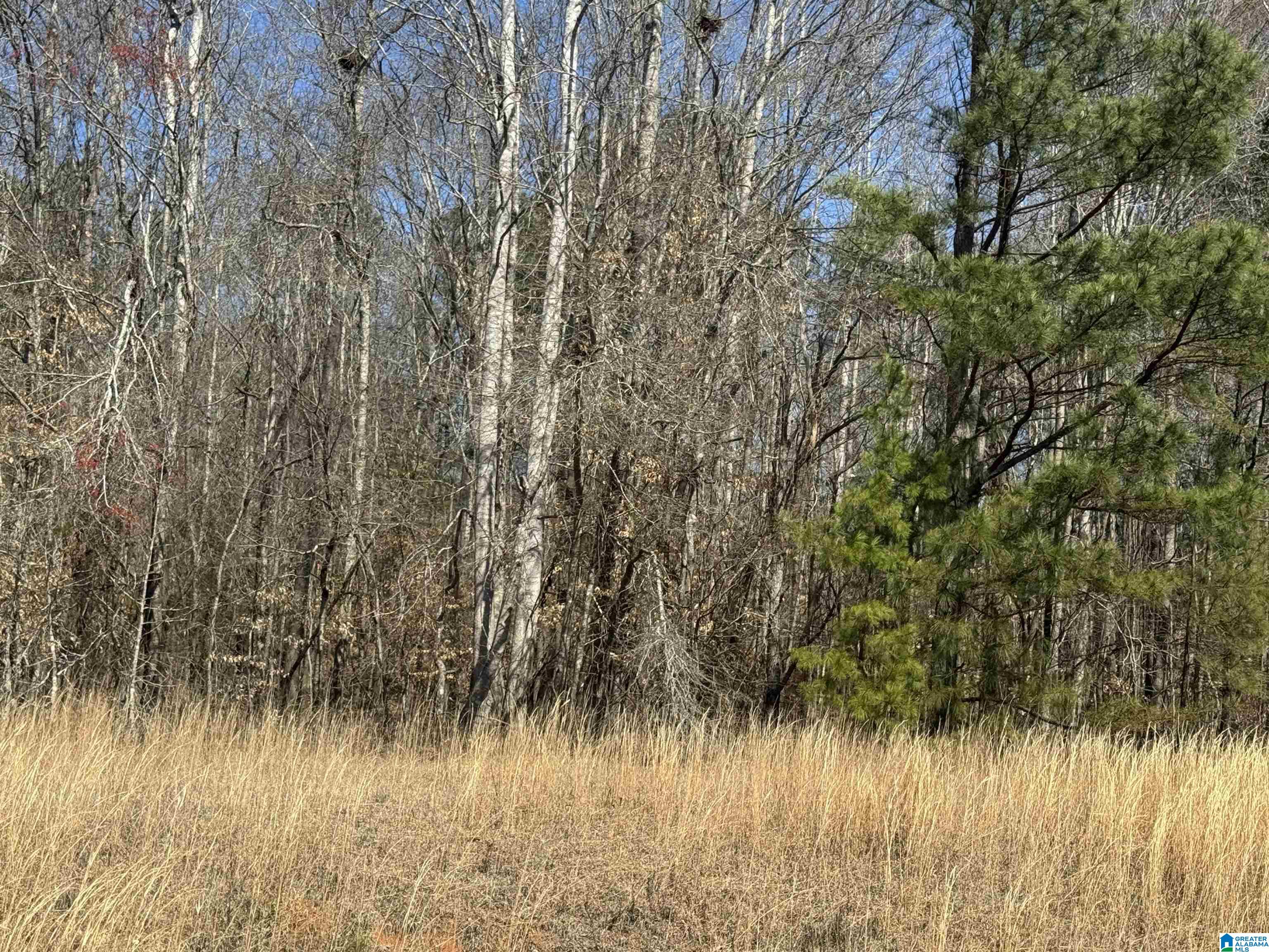 Land in ROANOKE 2