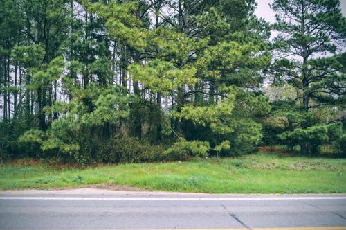 11167 State Highway 87 S, Shelbyville, TX, 75973-2996 | Card Image