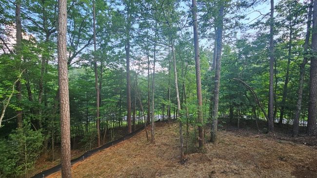 135 Fischer Trl, Home with 3 bedrooms, 2 bathrooms and null parking in Ellijay GA | Image 16