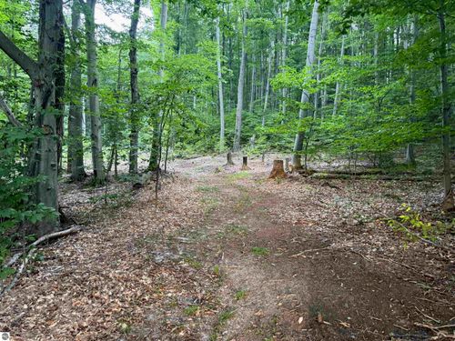 0000 S Bridle Trail, Empire, MI, 49630 | Card Image